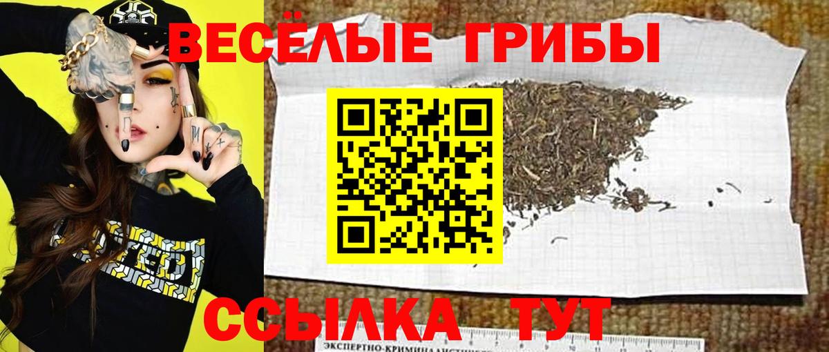 Псилоцибиновые грибы Psilocybine cubensis  Вход с VPN  Феодосия 