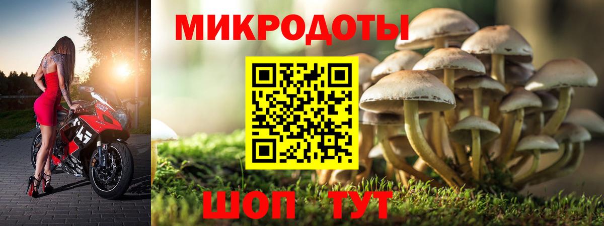 Псилоцибиновые грибы прущие грибы Феодосия